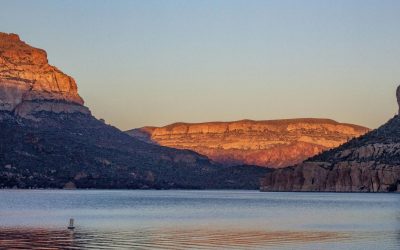 Why Parker Ranks Among the Best Vacation Spots Arizona Has to Offer