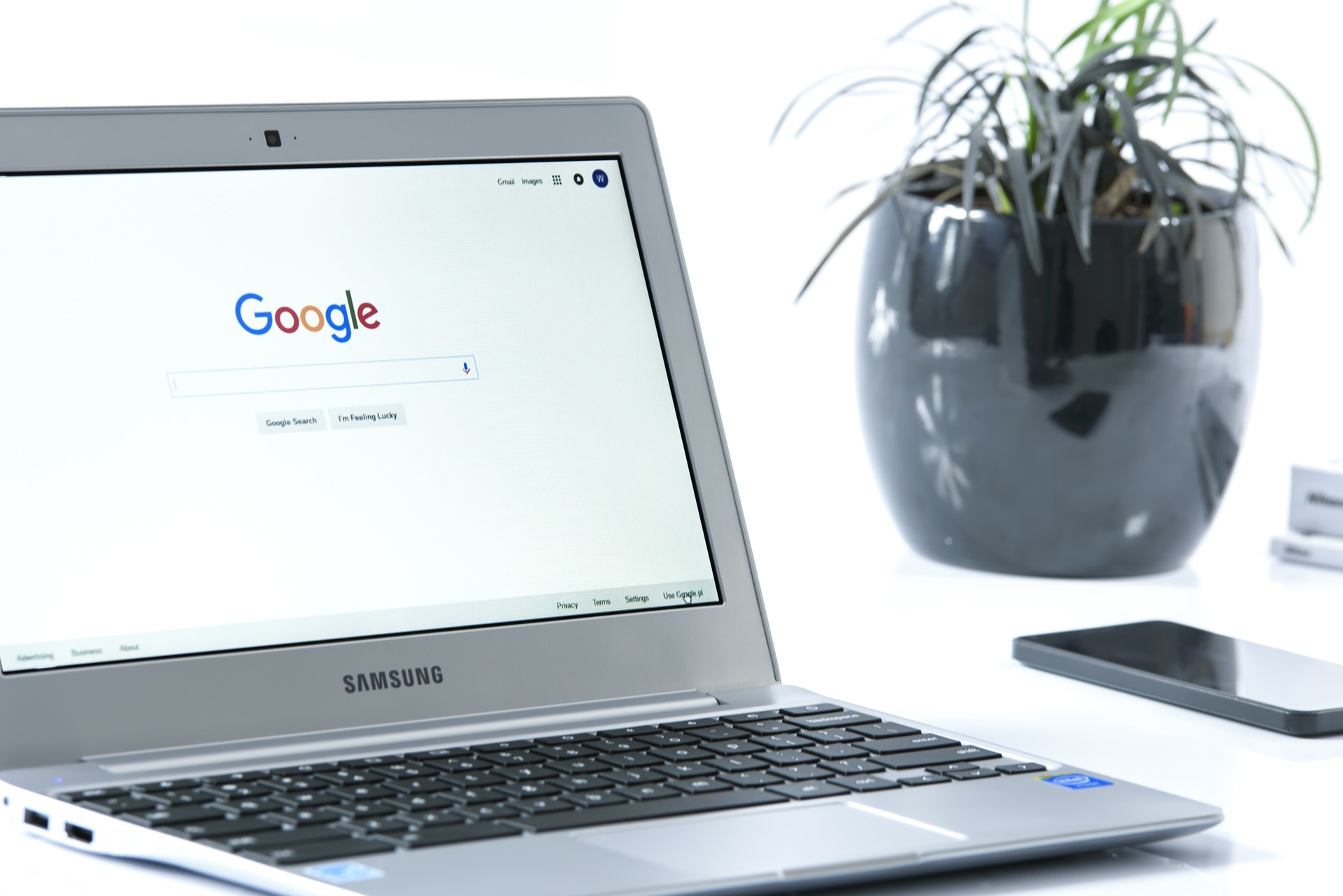 internet search engine