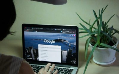 Professional SEO vs. DIY: Why One Dominates Google Search Results